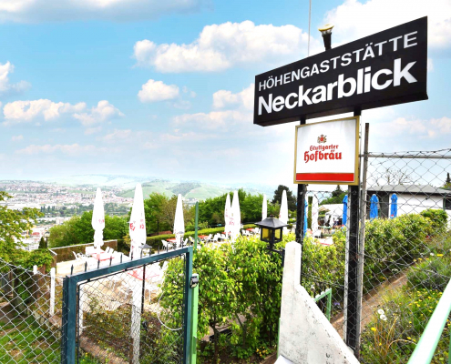 Neckarblick